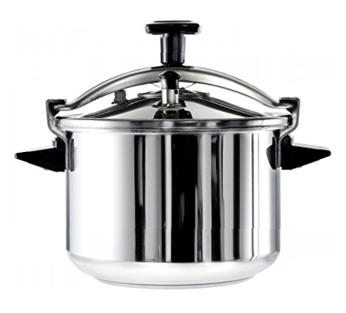 Tefal Authentique Olla A Presión, Acero Inoxidable, Plateado, 6 L, 1 Unidad